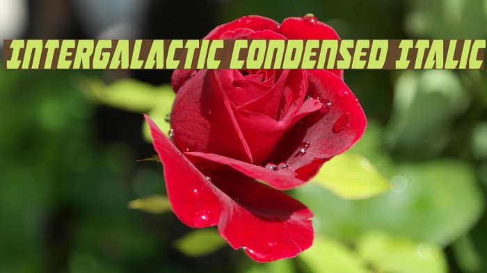 Intergalactic Condensed Italic Font examples