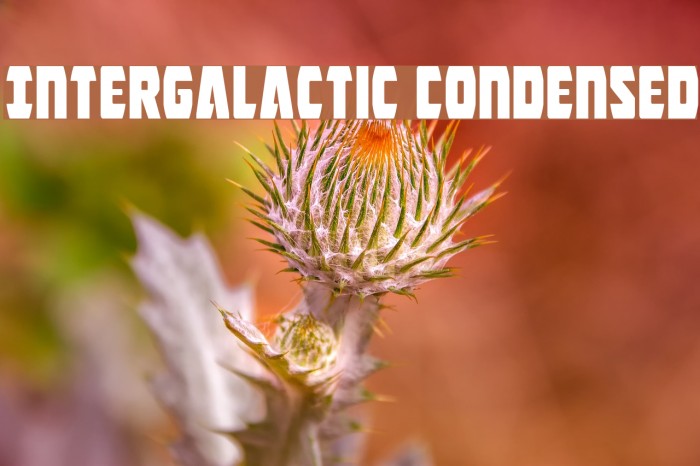 Intergalactic Condensed Font examples