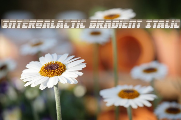 Intergalactic Gradient Italic Example 3