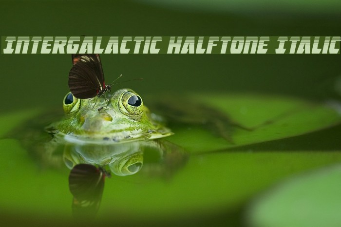 Intergalactic Halftone Italic Example 1