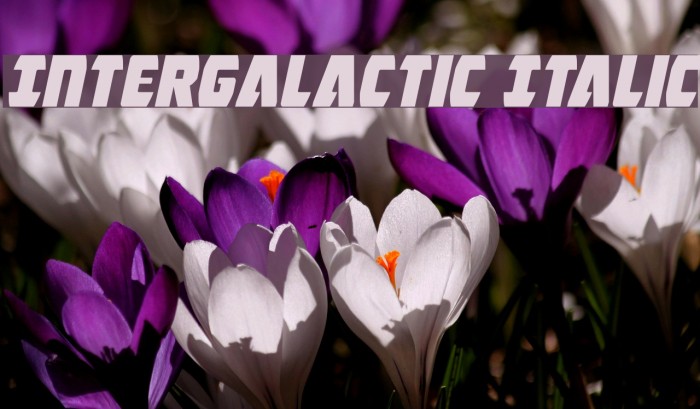 Intergalactic Italic Font examples