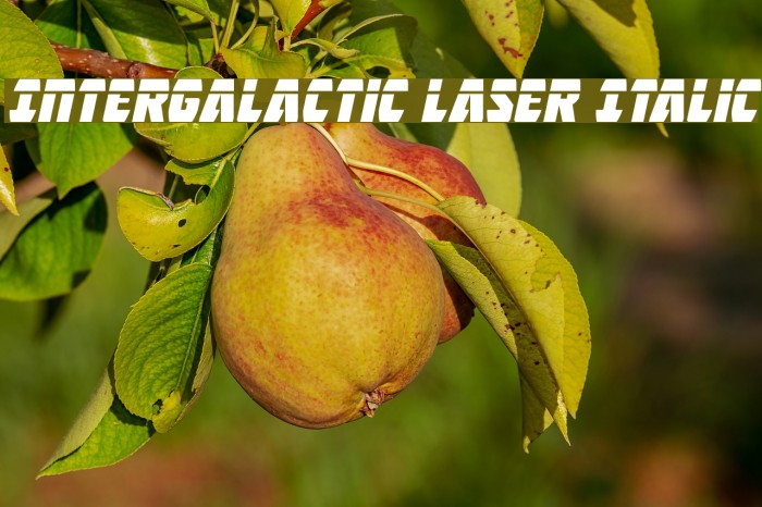 Intergalactic Laser Italic Example 3