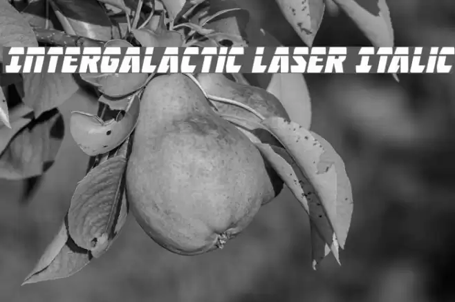 Intergalactic Laser Italic Font examples
