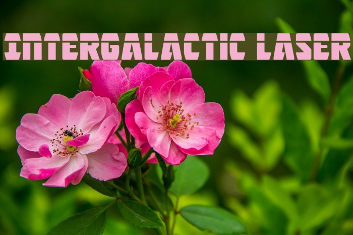 Intergalactic Laser Font examples