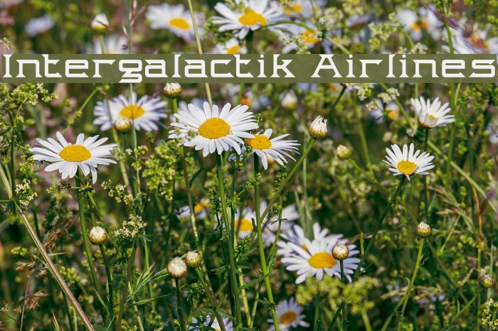 Intergalactik Airlines Font examples