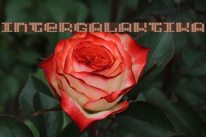 Intergalaktika Font examples