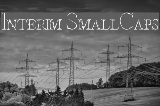 Interim SmallCaps Schriftart examples