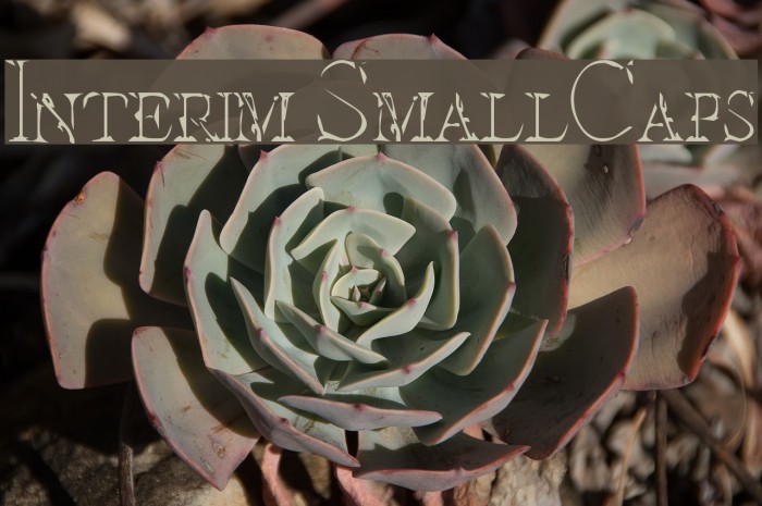 Interim SmallCaps Font examples