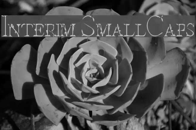 Interim SmallCaps Schriftart examples