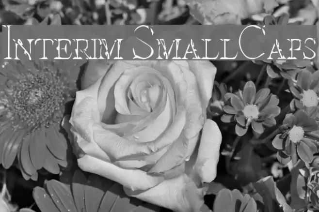 Interim SmallCaps Schriftart examples