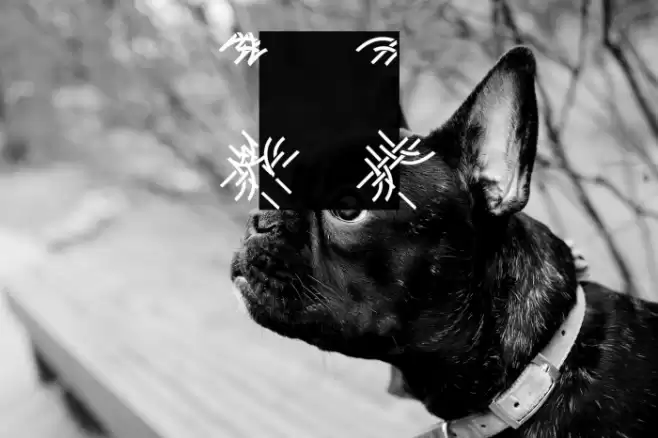 Interlace Set Font examples