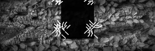 Interlace Set Font examples