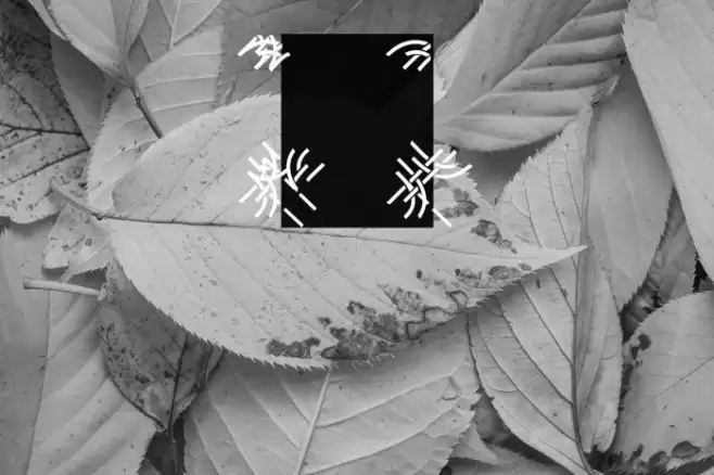 Interlace Set Font examples