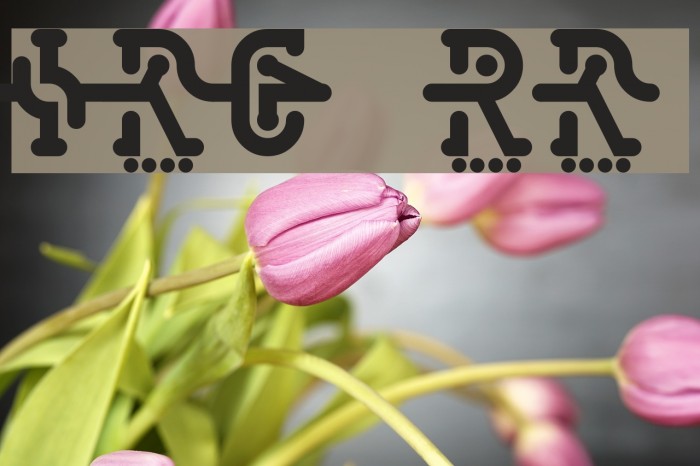 Interlock Regular Font examples