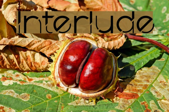 Interlude Font examples