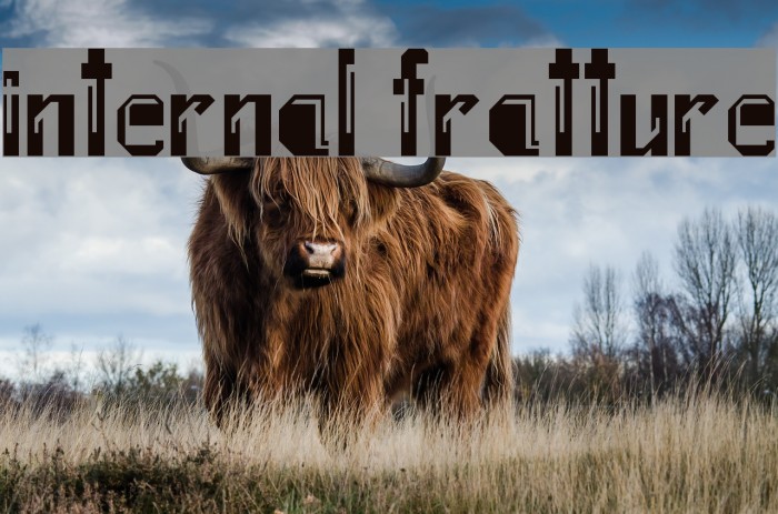Internal Fratture Font examples