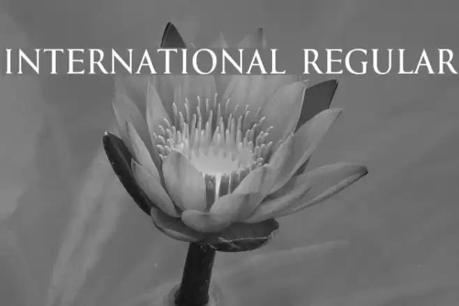 International Regular Font examples