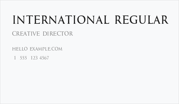 International Regular Business Card