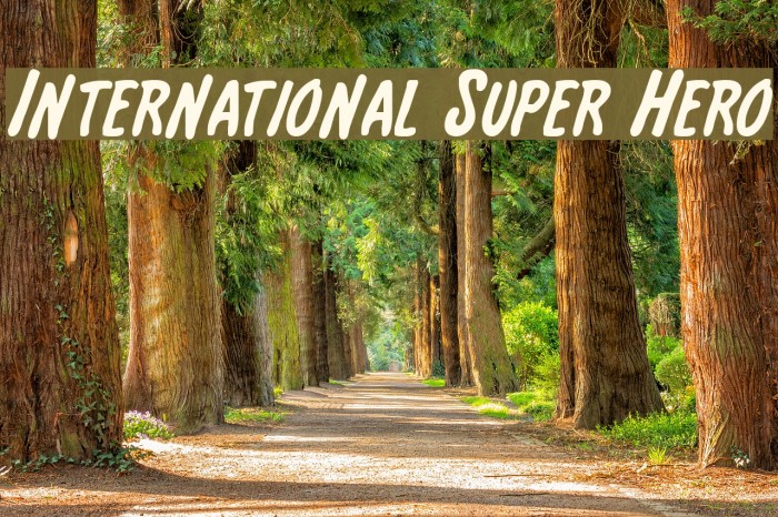 International Super Hero Font examples