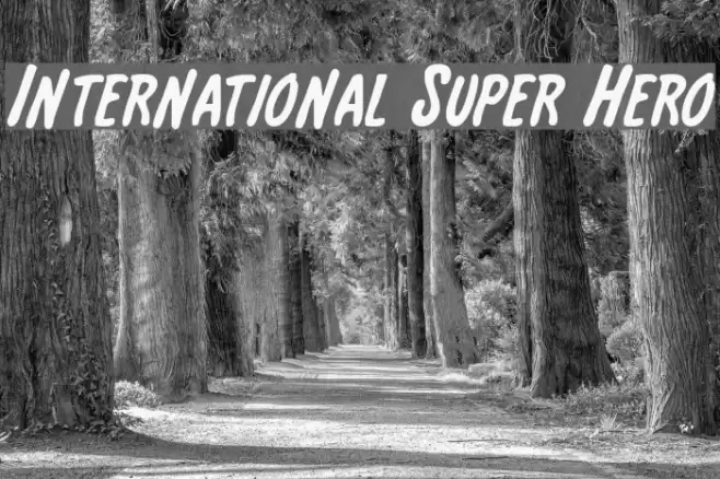 International Super Hero  examples