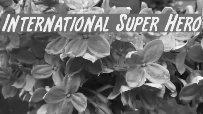 International Super Hero  examples