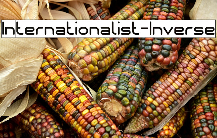 Internationalist-Inverse Example 1