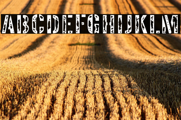 InterplanetaryCrap-Regular Example 1