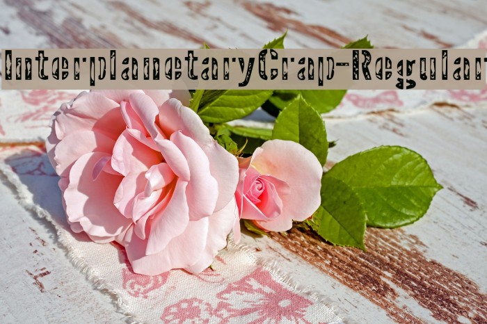 InterplanetaryCrap-Regular Example 2