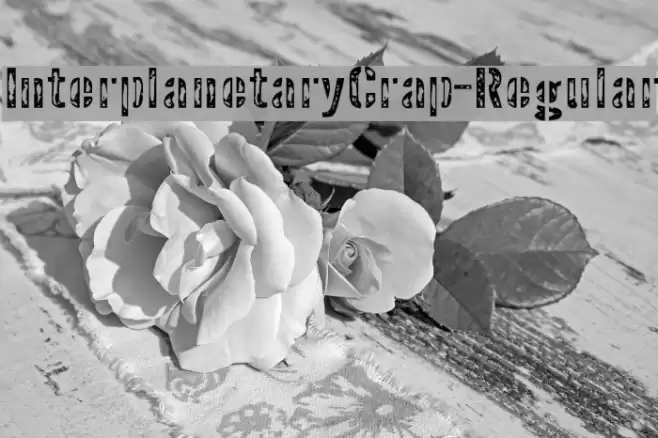 InterplanetaryCrap-Regular Font examples