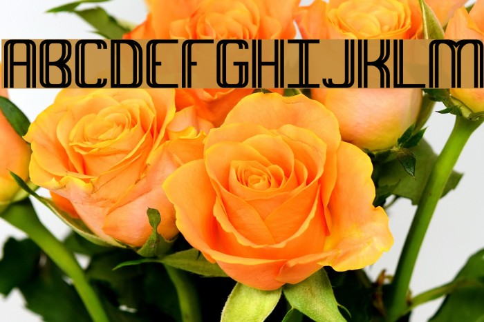 Intersect BRK Font examples
