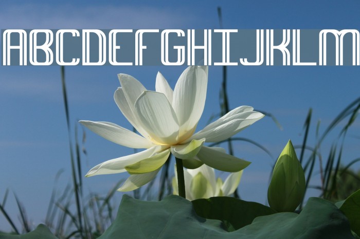 Intersect BRK Font examples