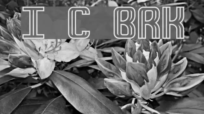 Intersect C BRK Font examples