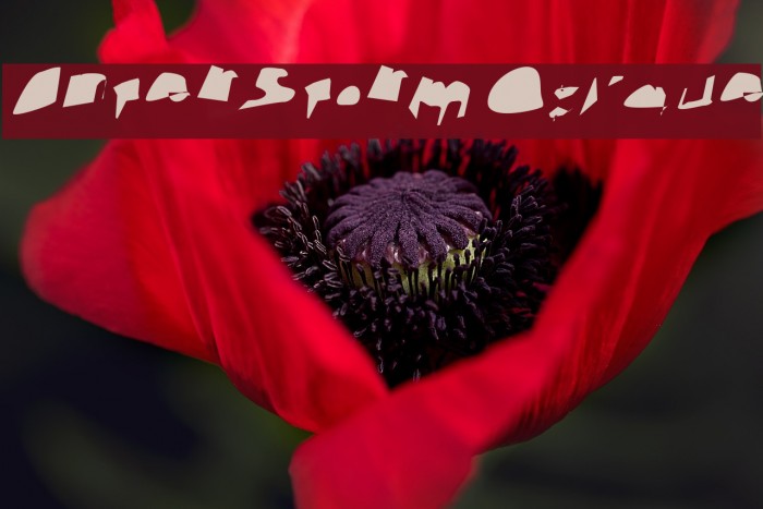 Interstorm Oblique Font examples