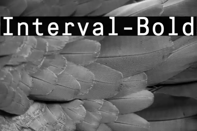 Interval-Bold Font examples
