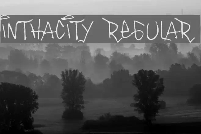 Inthacity Regular Polices examples