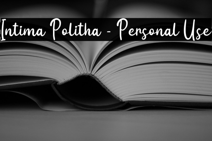 Intima Politha - Personal Use Example 1
