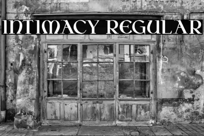 Intimacy Regular Caratteri examples