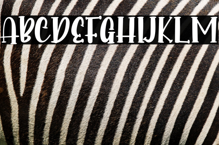 Into Paradise - Personal Use Example 1