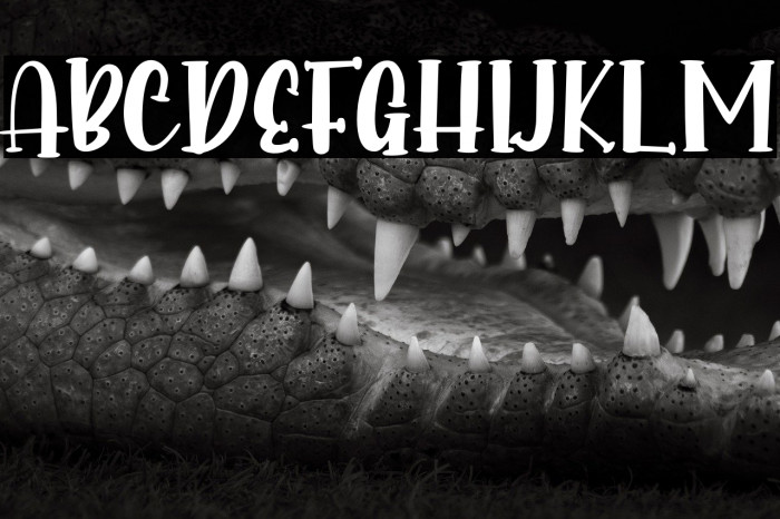 Into Paradise - Personal Use Example 2