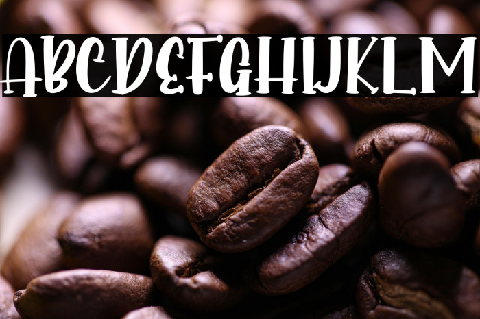 Into Paradise - Personal Use Example 3