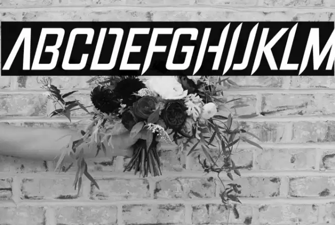 Into The Void Italic Font examples