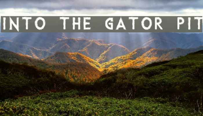 Into the Gator Pit Font examples