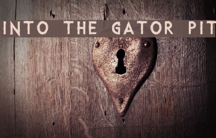 Into the Gator Pit Font examples