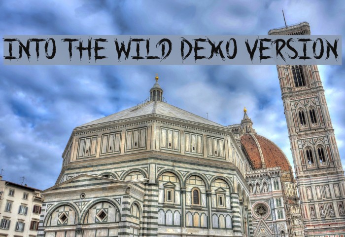 Into the Wild Demo Version Font examples
