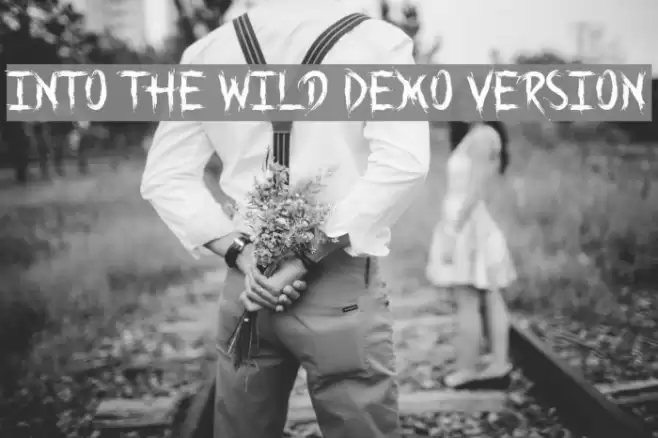 Into the Wild Demo Version 字体 examples