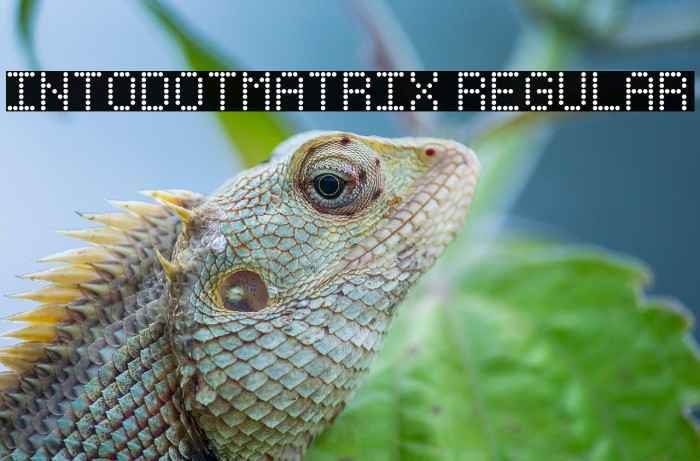 IntoDotMatrix Regular Example 3