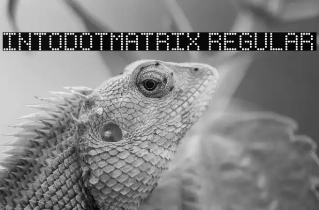 IntoDotMatrix Regular Font examples
