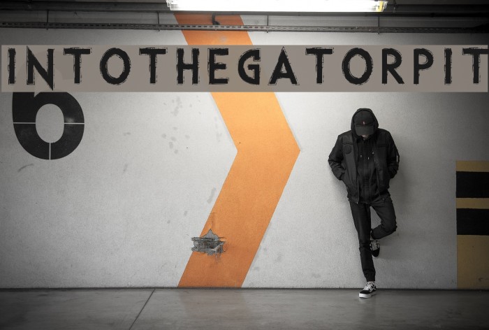 IntotheGatorPit Example 3