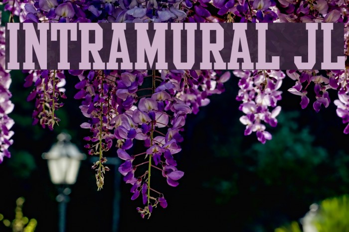 Intramural JL Font examples
