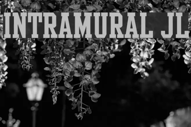 Intramural JL Schriftart examples